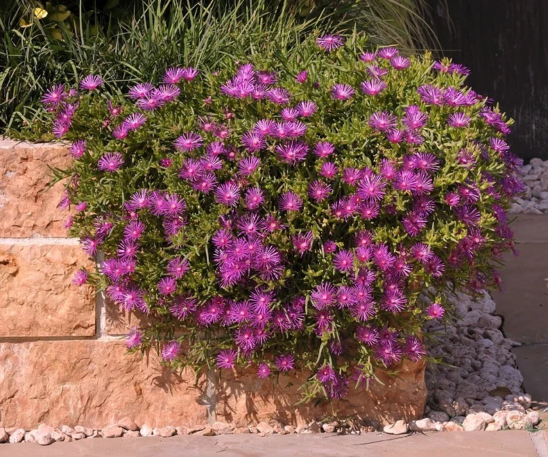 Donice ogrodowe z kamienia.webp